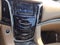 2019 Cadillac Escalade Platinum Edition