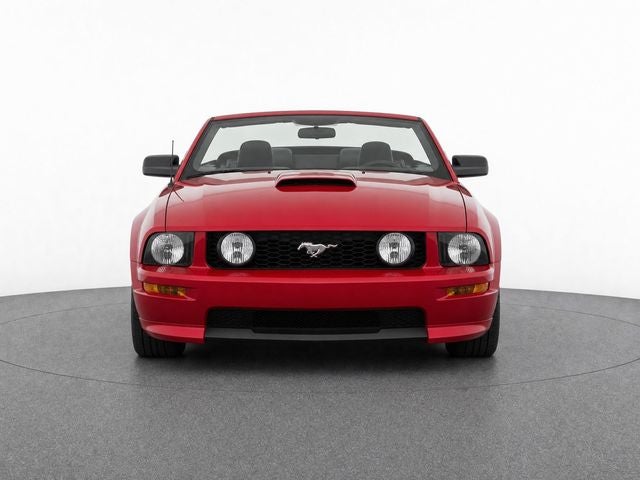 2007 Ford MUST NA
