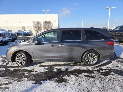 2023 Honda Odyssey EX-L