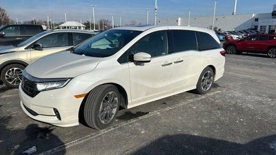 2022 Honda Odyssey Elite