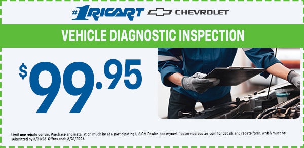 Vehicle Diagnostic Inspection