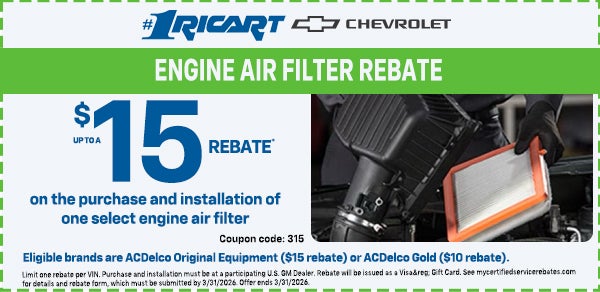 Engine Air Filter Rebate