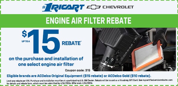 Engine Air Filter Rebate